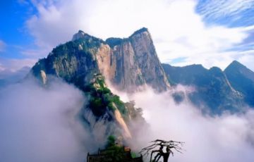 粗暴點，景區(qū)行業(yè)是不是廢了